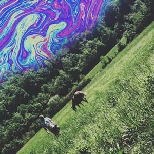 Meet your Posher, Hunter